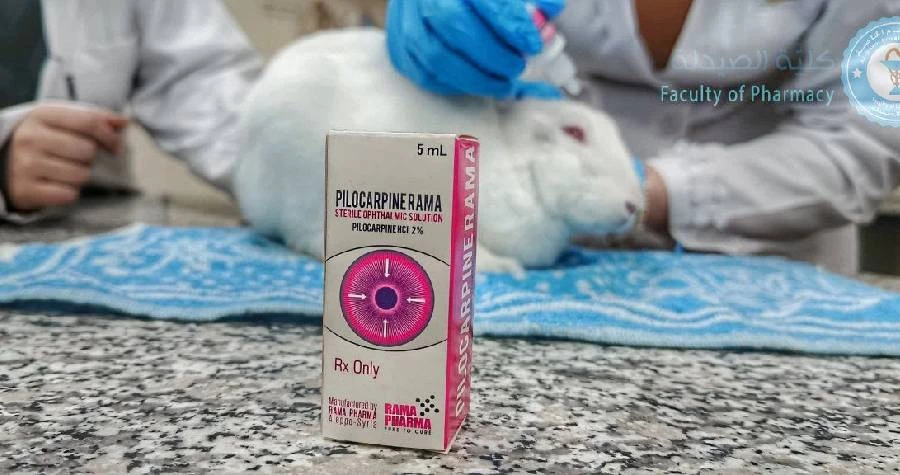 صورة الخبر