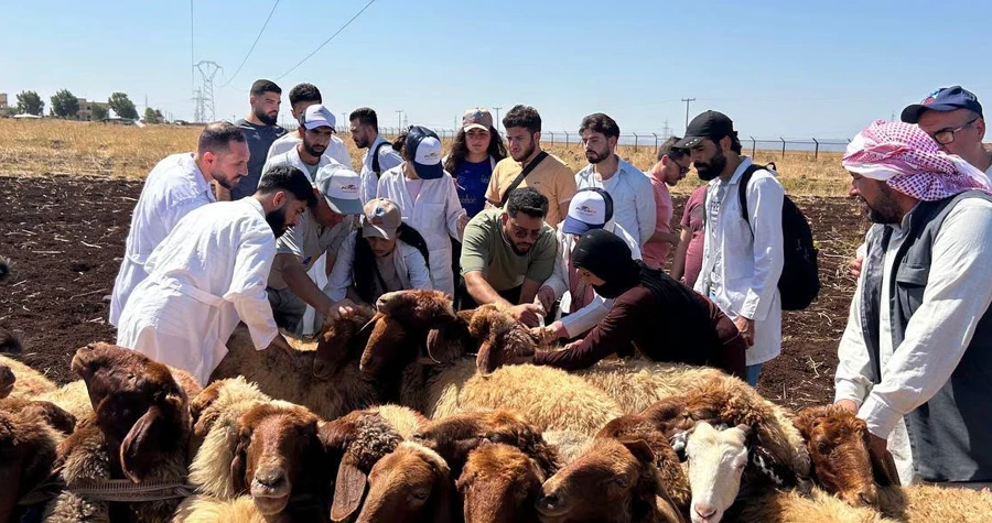 صورة الخبر