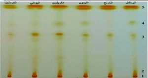 استثمار قشور الحمضيات كمصدر للمواد الفعالة: دراسة علمية في جامعة دمشق