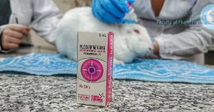 تنفيذ سلسلة جلسات عملية في كلية الصيدلة بجامعة الشام الخاصة
